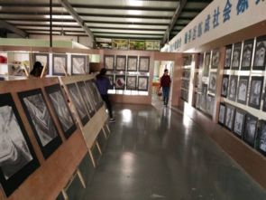 建筑装饰工程技术专业 室内外装饰装修工程设计与施工的全面解析